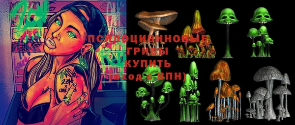 ПСИЛОЦИБИНОВЫЕ ГРИБЫ Алексин